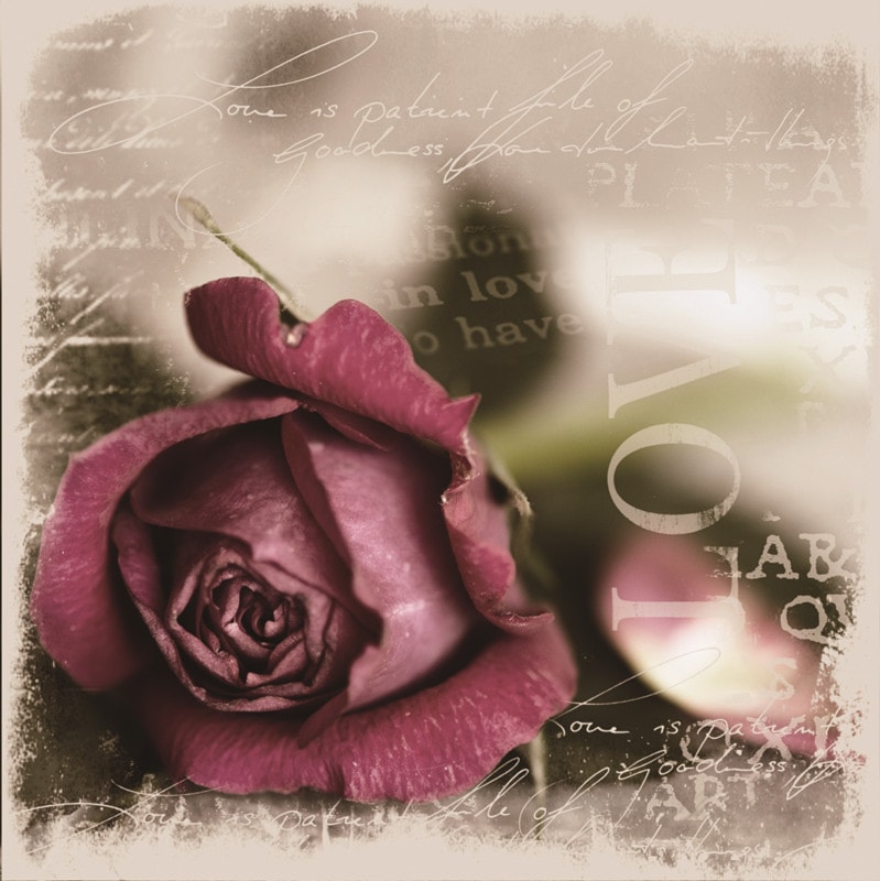 La Vie en Rose at Chapter this Valentines’ Day